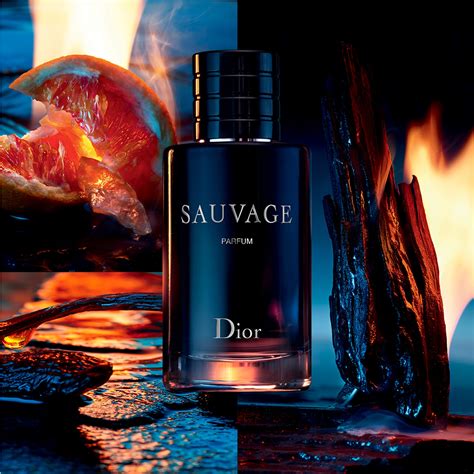 dior sauvage maroc|Dior Sauvage website.